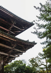 Traditionelles japanisches Gebäude - JOHF06568