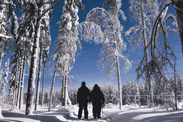 People walking through winter forest - JOHF06575
