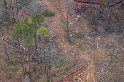 Land Clearing for Construction Site, Lilburn, Georgia - CAVF73723