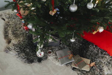 Presents under Christmas tree - JOHF06641