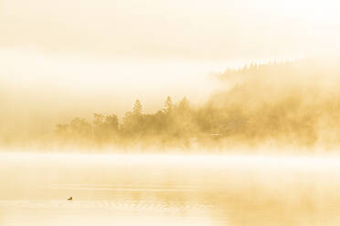 Lake in morning fog - JOHF06695