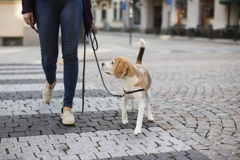 Frau mit Hund - JOHF06729