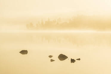 Nebel über dem See - JOHF06785