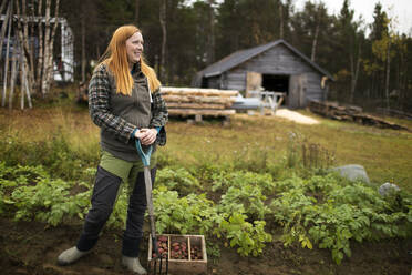 Woman digging potatoes - JOHF06799