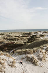 Sanddünen am Meer - JOHF06925