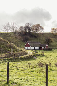 Blick auf die ländliche Landschaft - JOHF06942