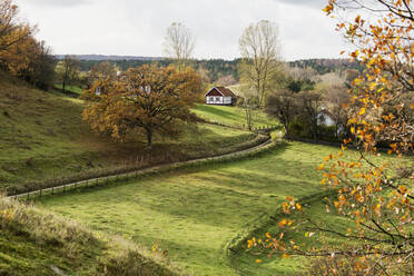 Blick auf die ländliche Landschaft - JOHF06943