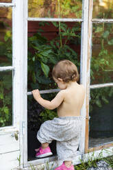 Toddler girl near greenhouse - JOHF06976