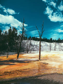 Yellowstone National Park Landschaft Geysire, Hotsprings USA, Wyoming - CAVF73815