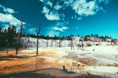 Yellowstone National Park Landschaft Geysire, Hotsprings USA, Wyoming - CAVF73818