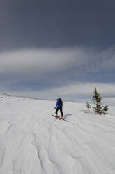 A lone skier skinning up a snowy slope in New Hampshire. - CAVF73865