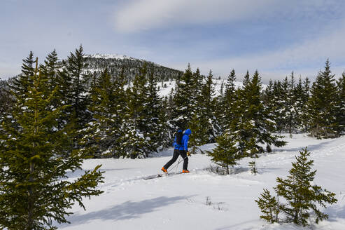 Ein einsamer Skifahrer, der in den White Mountains von New Hampshire bergauf fährt. - CAVF73866