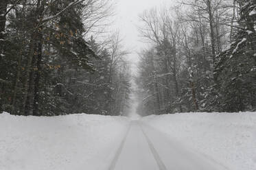 A plowed single lane road during a snow storm in New Hampshire. - CAVF73867