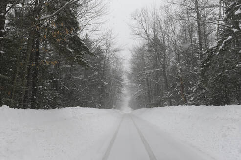 Eine geräumte einspurige Straße während eines Schneesturms in New Hampshire. - CAVF73867