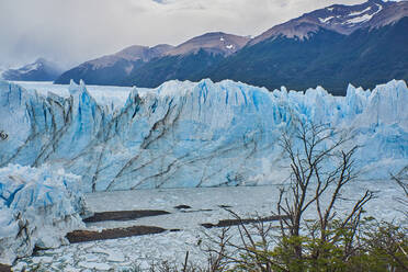 Gletscher Perito Moreno in Patagonien, Argentinien - CAVF73887