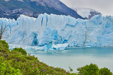 Gletscher Perito Moreno in Patagonien, Argentinien - CAVF73889