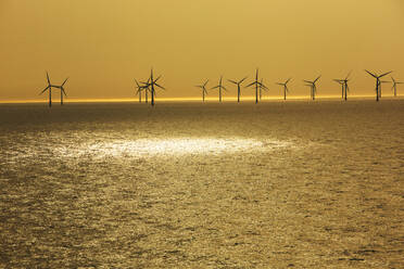 Ein Offshore-Windpark in niederländischen Gewässern, eine Stunde Fahrt von Ijmuiden, Niederlande. - CAVF73918