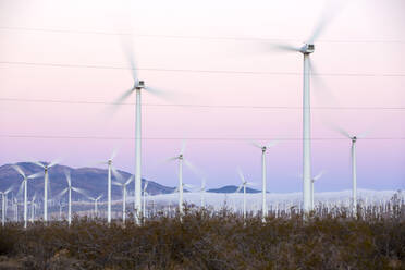 Ein Teil des Windparks Tehachapi Pass, des ersten groß angelegten Windparks in den USA, Kalifornien, USA, bei Sonnenaufgang. - CAVF73920