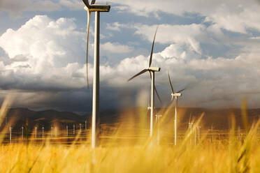 Ein Windpark bei La Calahorra in Andalusien, Spanien. - CAVF73925