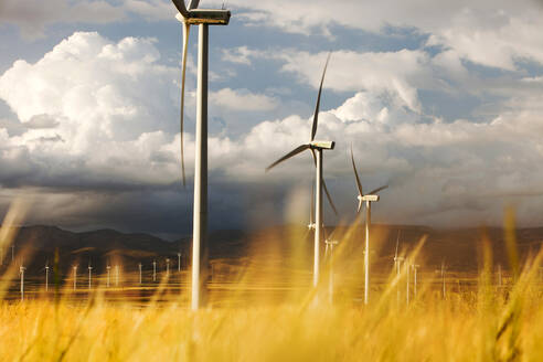 Ein Windpark bei La Calahorra in Andalusien, Spanien. - CAVF73925