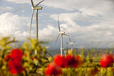 Ein Windpark bei La Calahorra in Andalusien, Spanien. - CAVF73926