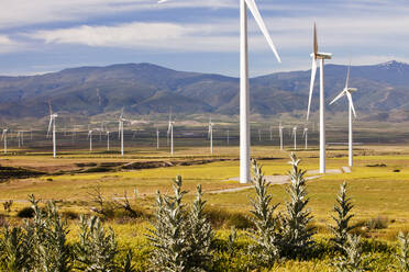 Ein Windpark bei La Calahorra in Andalusien, Spanien. - CAVF73927