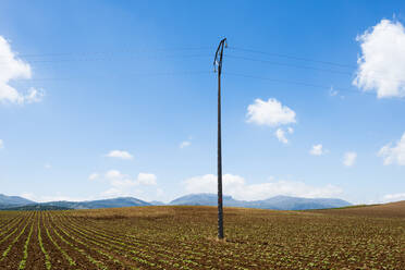 Landschaft mit Strommast in einer Ebene, Ronda, Malaga, Spanien - CAVF74003