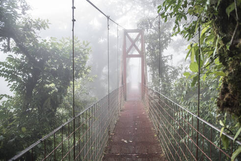 Eine Brücke im biologischen Reservat des Monteverde-Nebelwaldes in Costa Rica - CAVF74034
