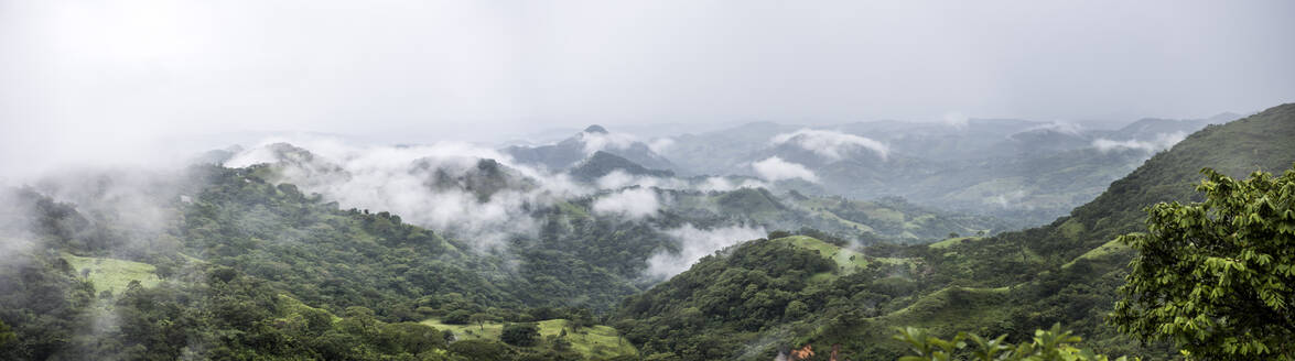 Ein Panorama des Regenwaldes von Costa Rica in Monteverde - CAVF74037