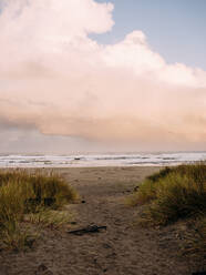 Weg zum Strand an der Küste von Oregon bei Sonnenaufgang - CAVF74059