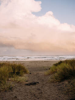 Weg zum Strand an der Küste von Oregon bei Sonnenaufgang - CAVF74059