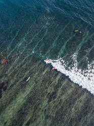 Aerial view of surfers in the ocean - CAVF74088