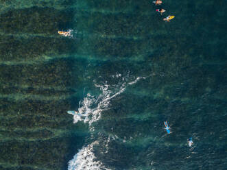 Aerial view of surfers in the ocean - CAVF74091