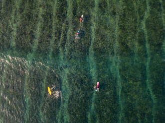 Aerial view of surfers in the ocean - CAVF74096