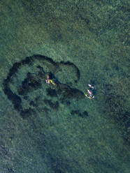 Aerial view of surfers in the ocean - CAVF74099