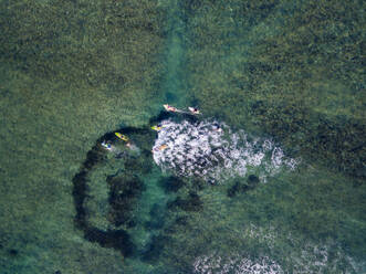 Aerial view of surfers in the ocean - CAVF74101