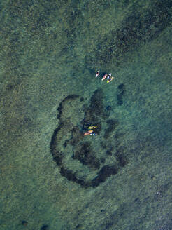 Luftaufnahme von Surfern auf dem Meer - CAVF74103