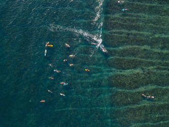 Aerial view of surfers in the ocean - CAVF74121