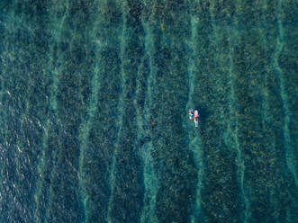 Aerial view of surfers in the ocean - CAVF74129