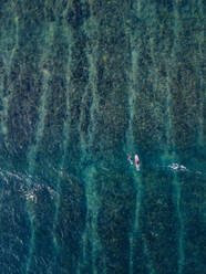 Aerial view of surfers in the ocean - CAVF74130
