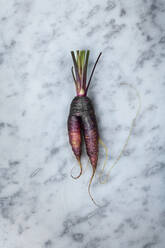 Root vegetable on marble background - JOHF07047