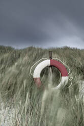 Sand dunes with marram grass - JOHF07100