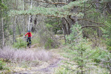 Boy cycling in spring forest - JOHF07105