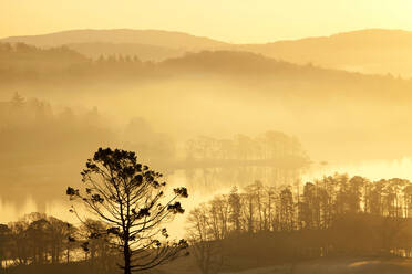 Sunrise over Lake Windermere from Todd Crag above Ambleside, Lake District, UK. - CAVF74221