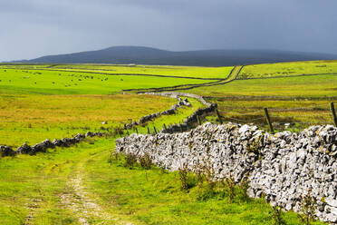 Mastiles Lane, ein alter grüner Weg in den Yorkshire Dales, Großbritannien. - CAVF74235