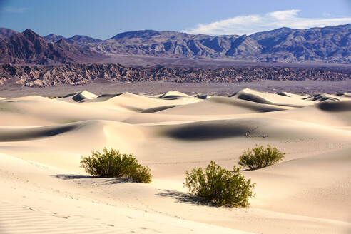 Die flachen Sanddünen von Mesquite im Death Valley, dem tiefstgelegenen, heißesten und trockensten Ort in den USA, mit einer durchschnittlichen jährlichen Niederschlagsmenge von etwa 2 Zoll, in manchen Jahren regnet es gar nicht - CAVF74241