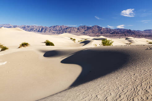 Die flachen Sanddünen von Mesquite im Death Valley, dem tiefstgelegenen, heißesten und trockensten Ort in den USA, mit einer durchschnittlichen jährlichen Niederschlagsmenge von etwa 2 Zoll, in manchen Jahren regnet es gar nicht - CAVF74248