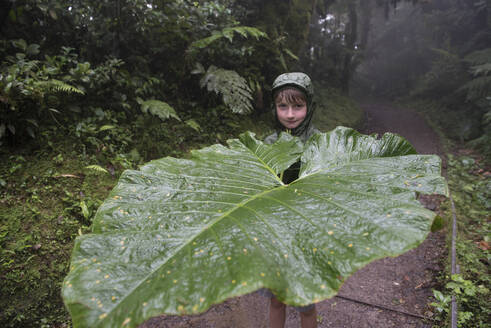 Ein Junge hält ein riesiges Blatt im Monteverde Clout Wald in Costa Rica - CAVF74267