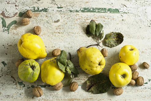 Quinces (Cydonia oblonga) with leaves and walnuts on rustic wooden surface - ASF06557
