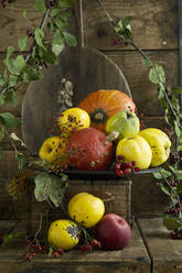 Quinces (Cydonia oblonga) with leaves, Hokkaido gourds (Cucurbita maxima), apples and rose hips on rustic wooden crate - ASF06559